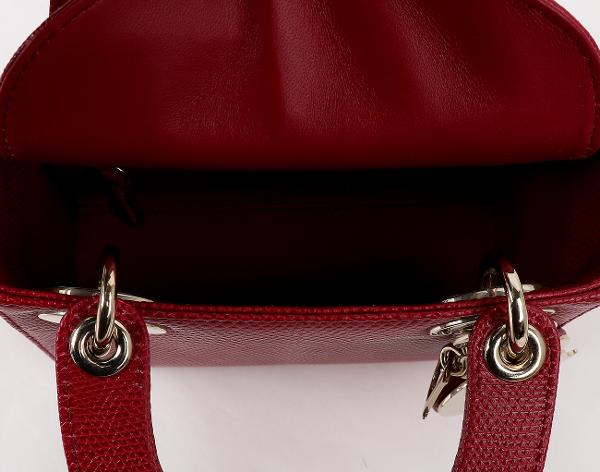 디올 레이디 디올 미니 리자드 레드