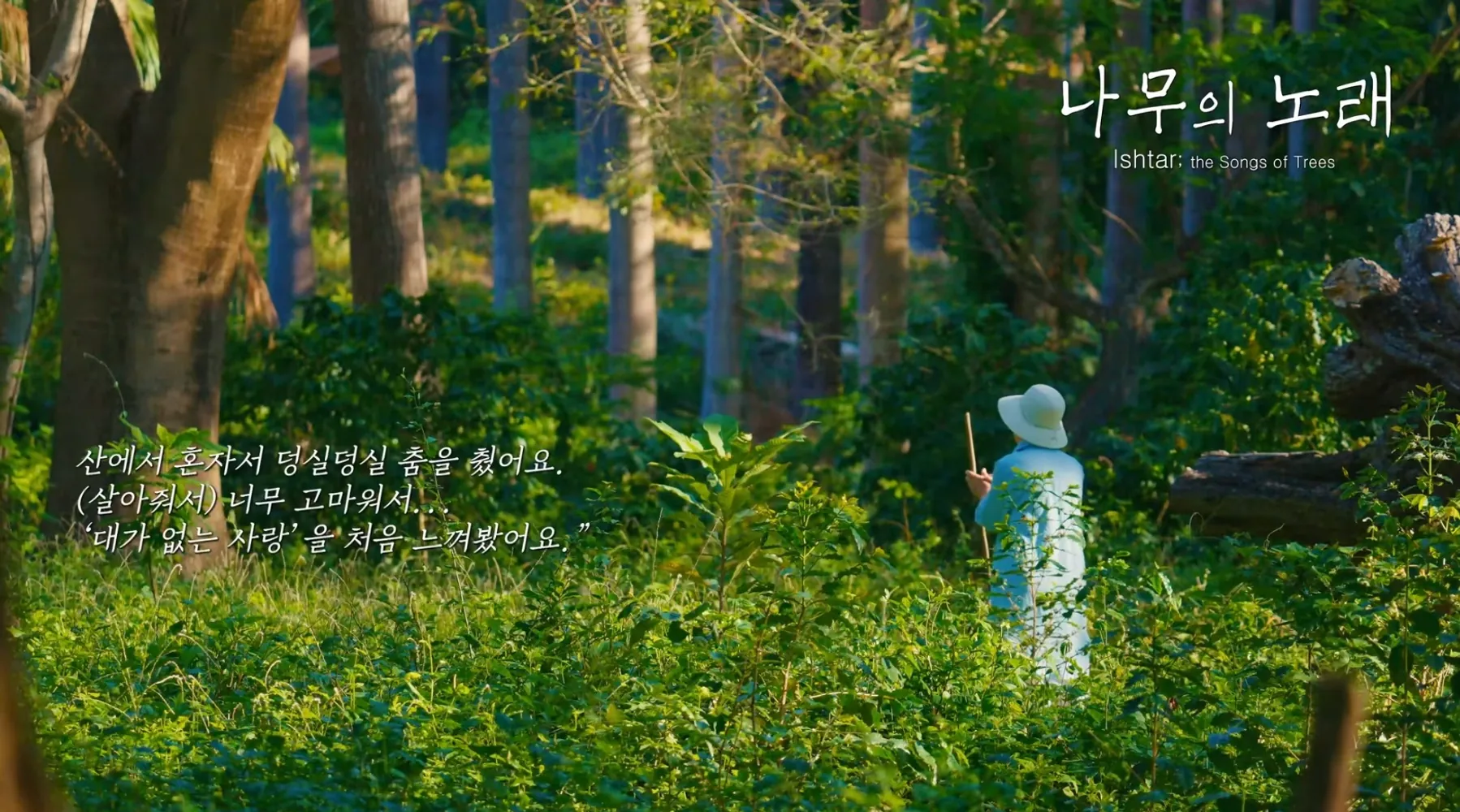 김성일의 #다큐멘터리 [나무의 노래](* The Song of Trees, 국내 TV 버전 제목은 [무명, 나무 심는 여인])가/이 이탈리아 라퀼라에서 있었던 프리 이탈리아(Prix Italia, 1948년에 창설된 '방송계... 이미지
