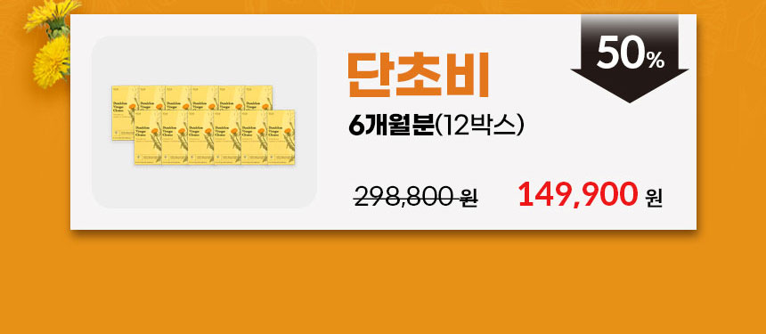 단초비 상세정보