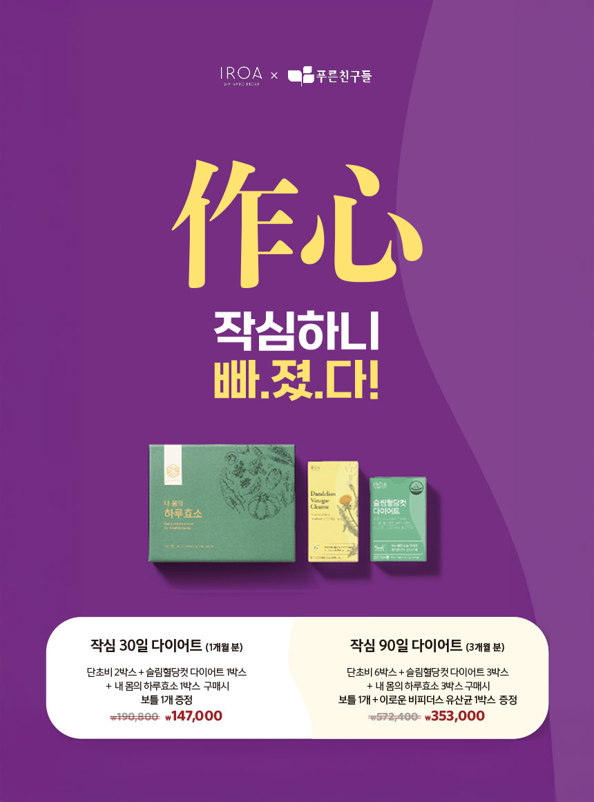 단초비 상세정보