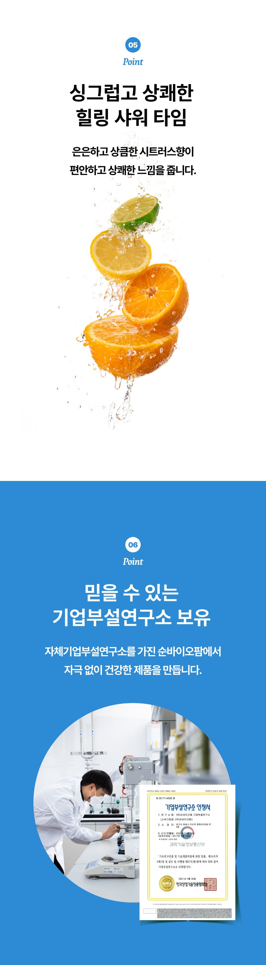 푸른친구들