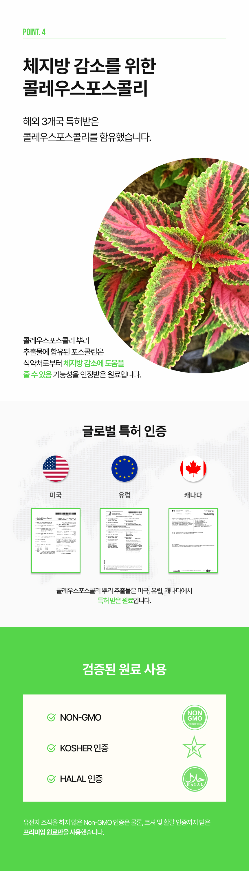 슬림혈당컷 다이어트 상세정보
