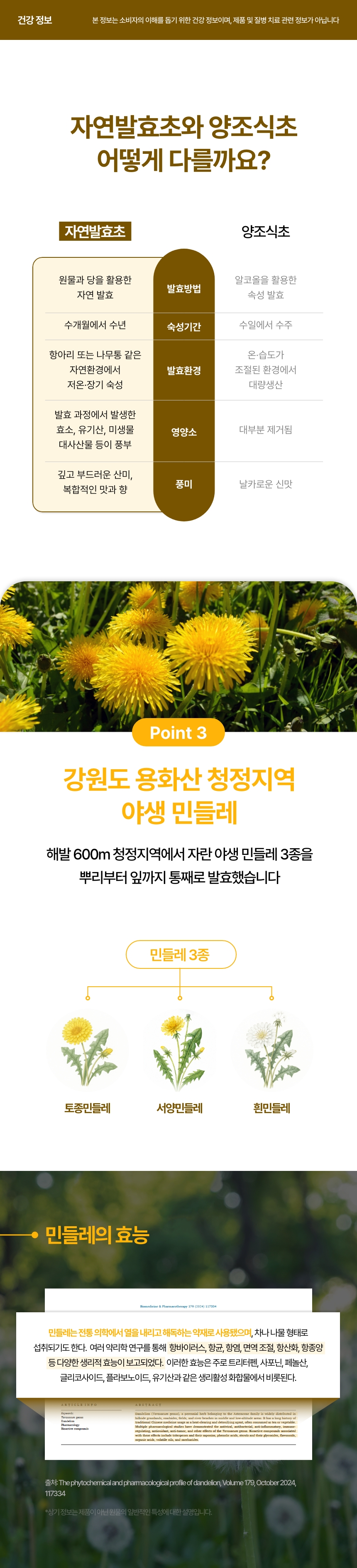 단초비 상세정보