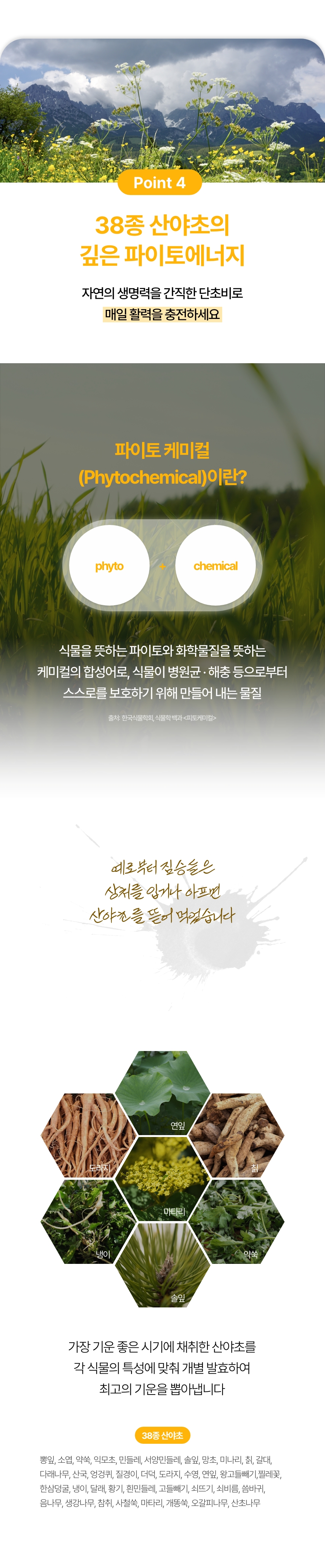 단초비 상세정보