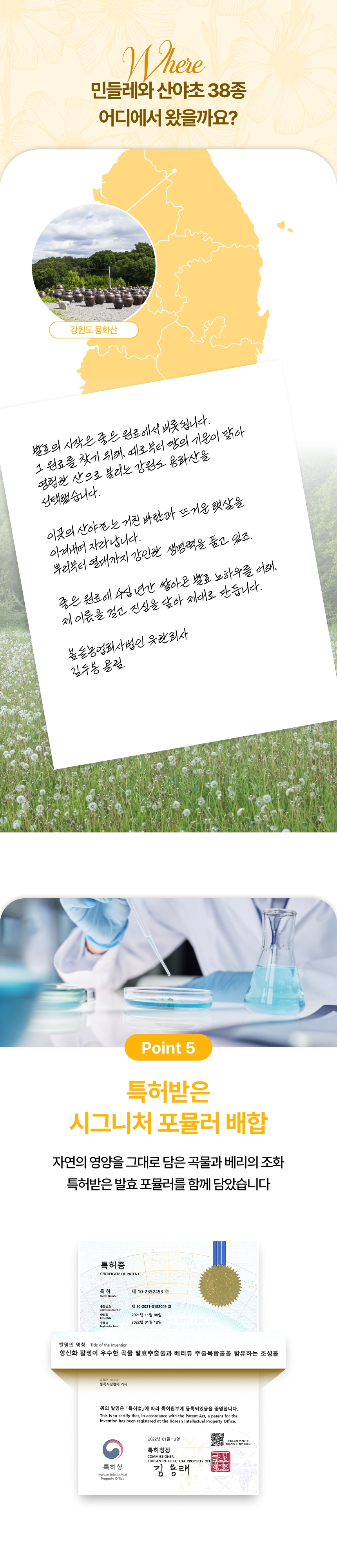 단초비 상세정보
