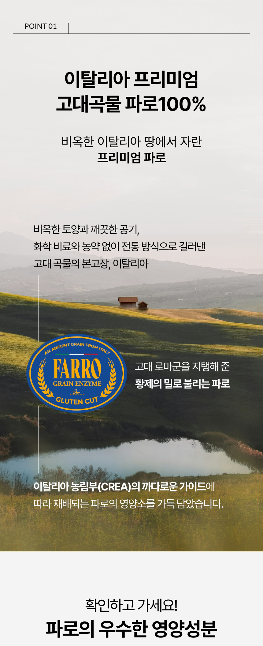 파로효소력 상세정보