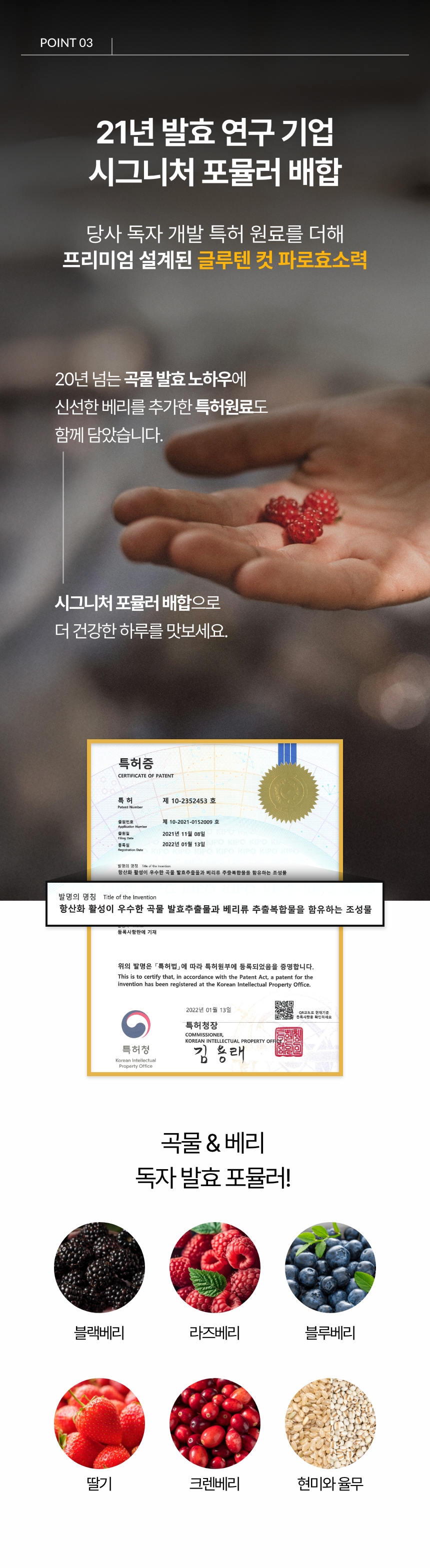 파로효소력 상세정보