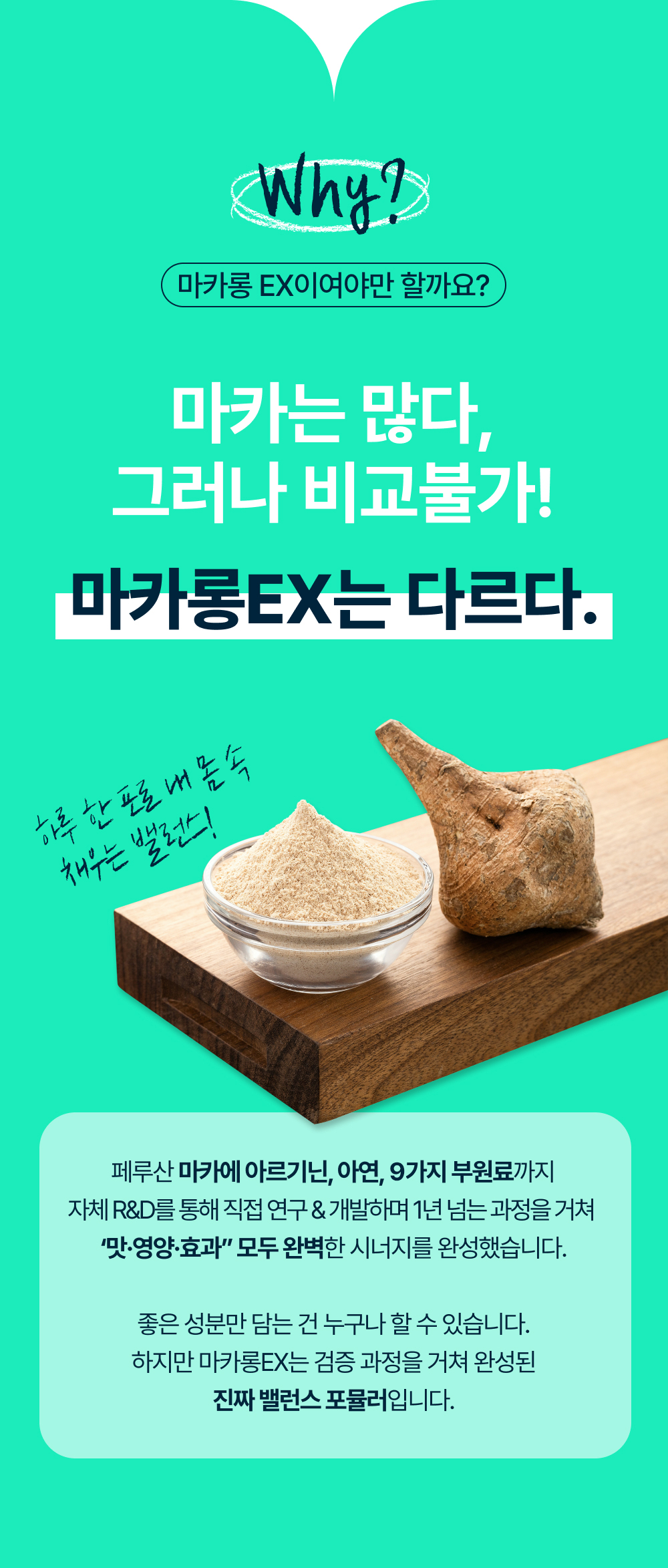 마카롱EX 상세정보