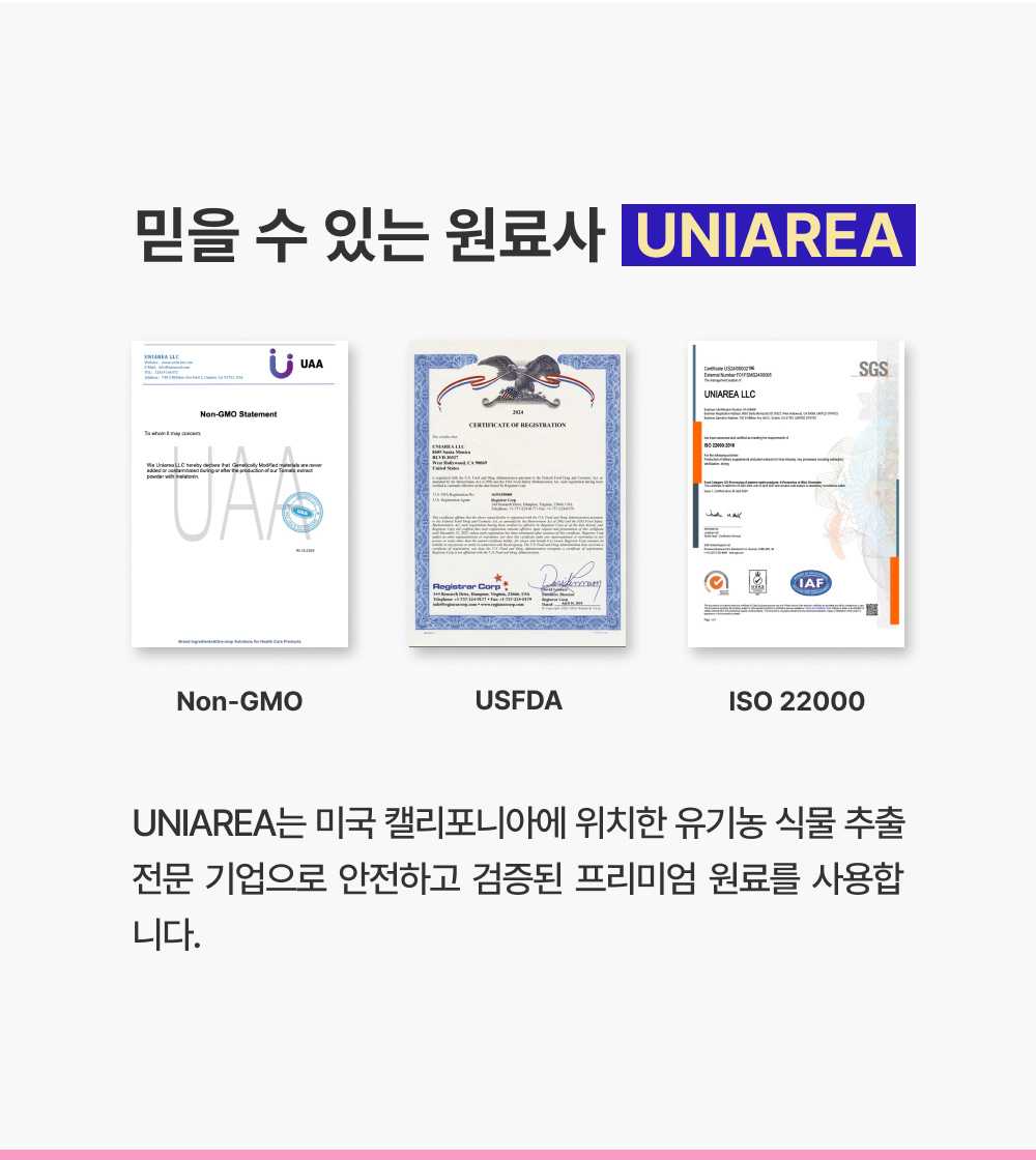 푸른친구들