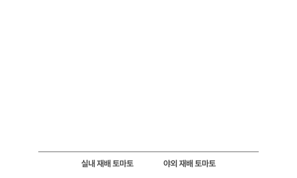 푸른친구들