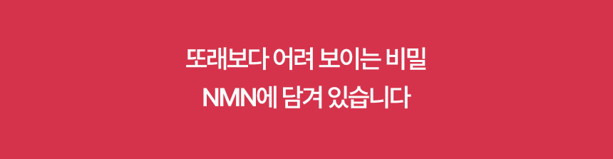 NMN부스터 상세정보
