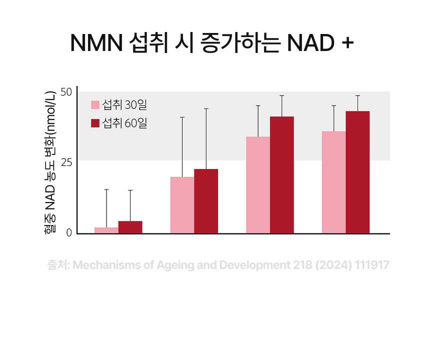 NMN부스터 상세정보