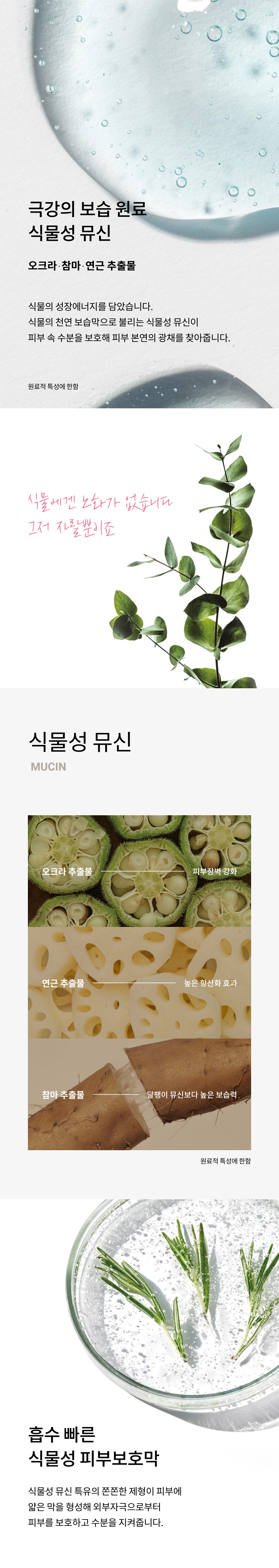 마마퀸 시그니처 토너 상세정보