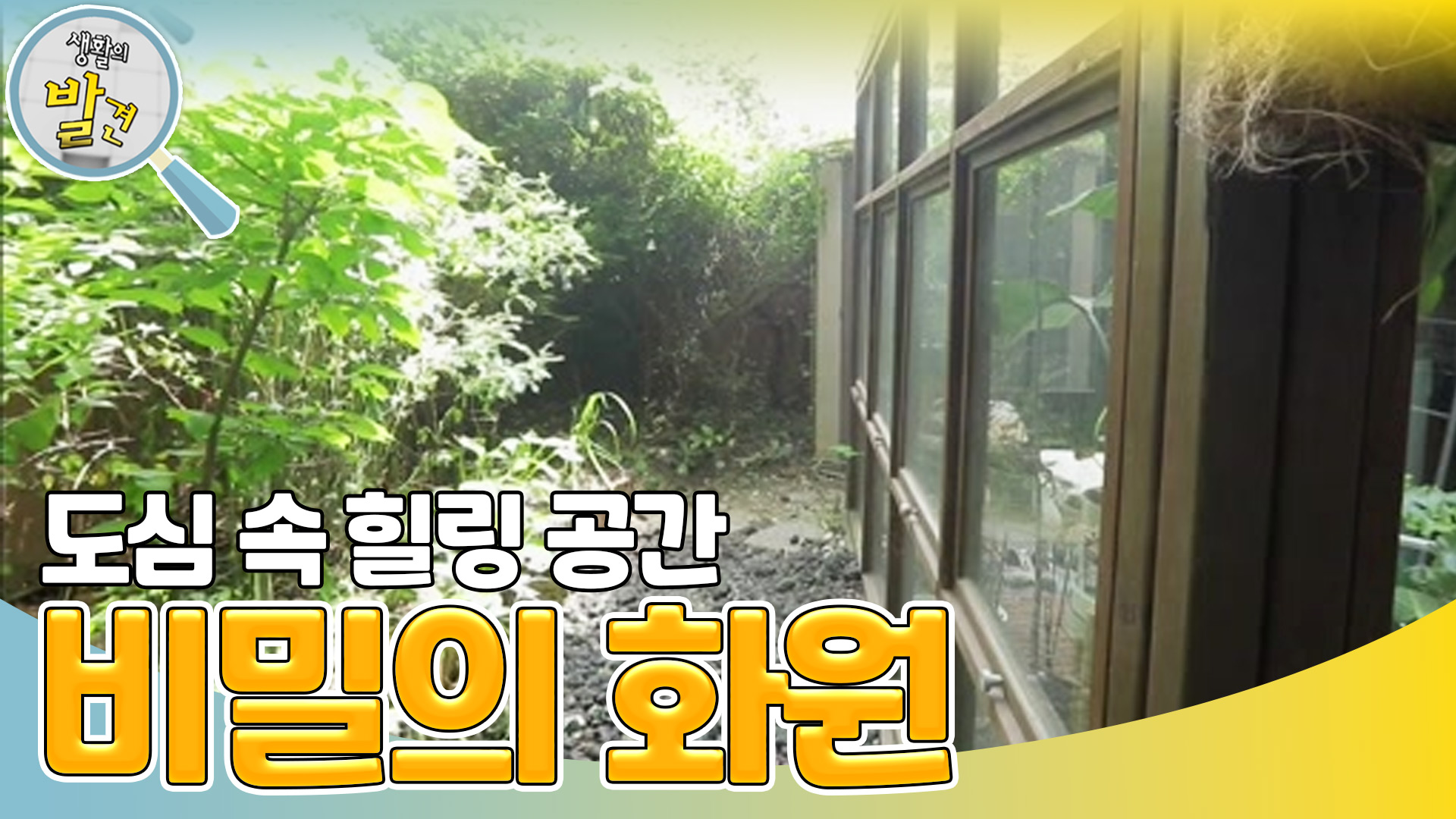 실시간 인기 - 곰TV
