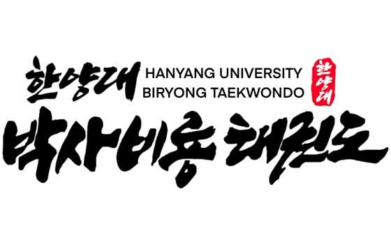 한양대 박사 비룡 태권도 목1동점