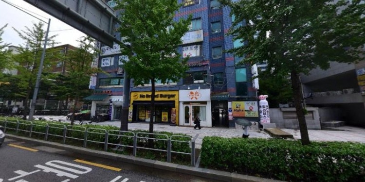 나무새 미술학원