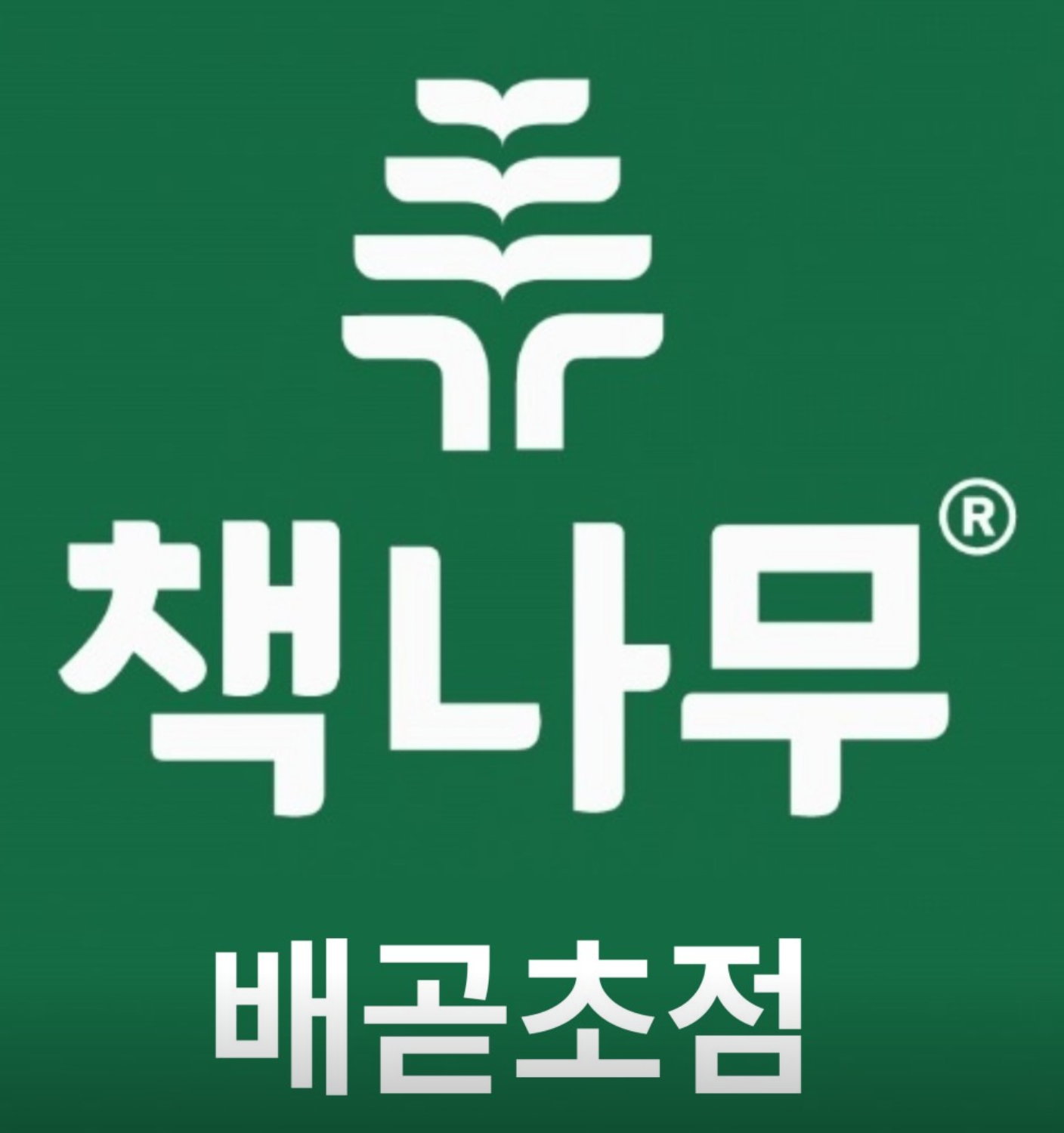 책나무 배곧초점
