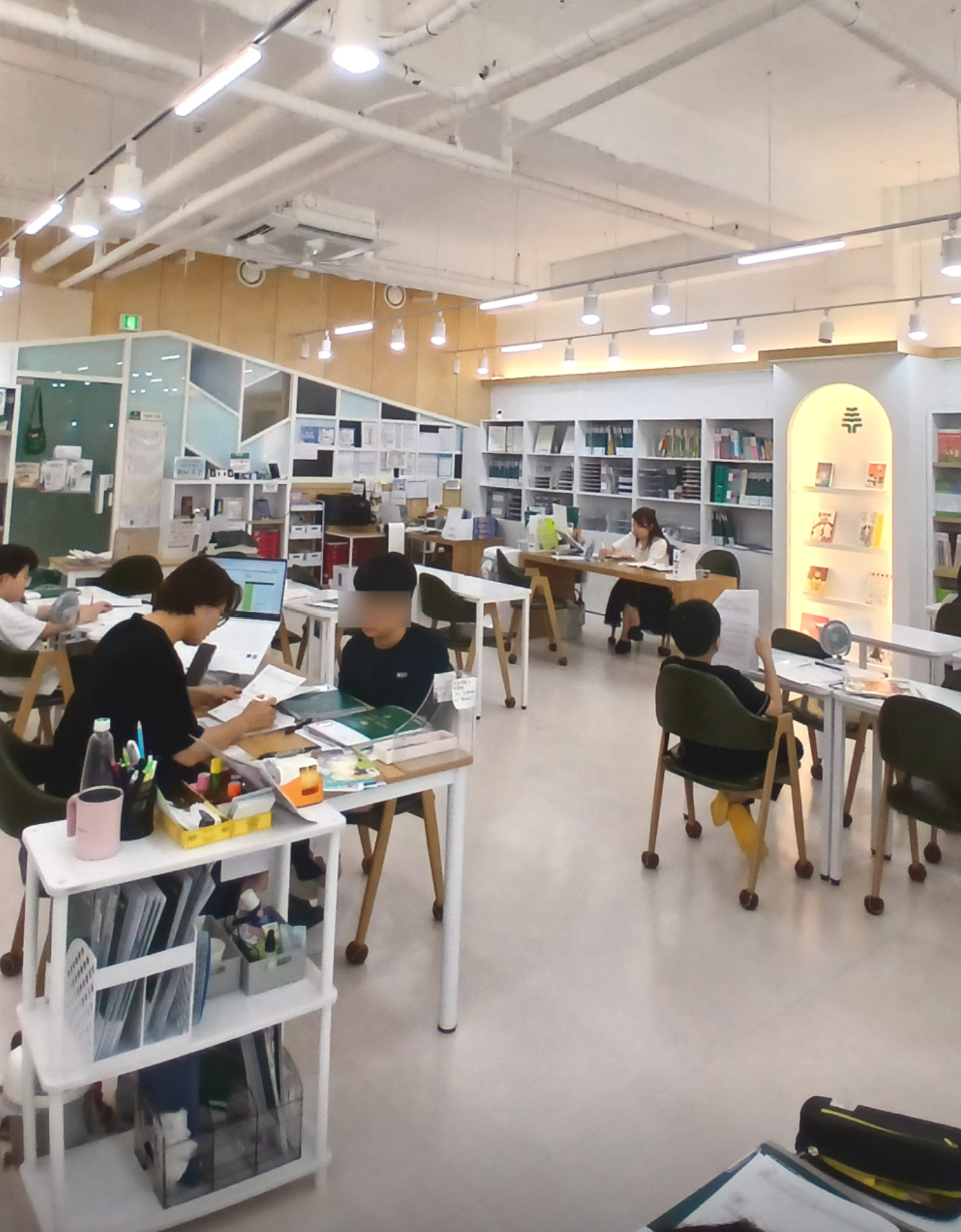 책나무 배곧초점