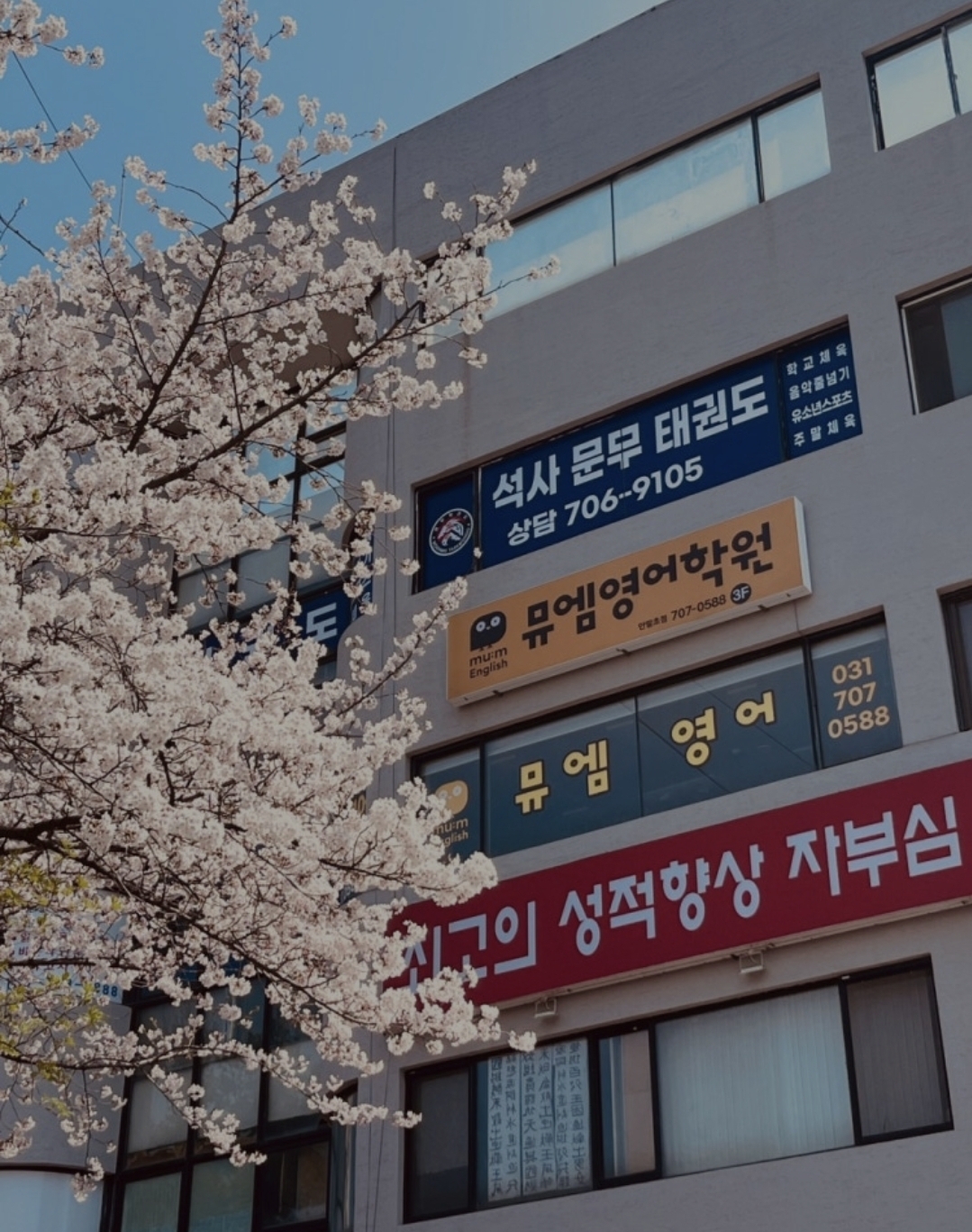 뮤엠영어 안말초점