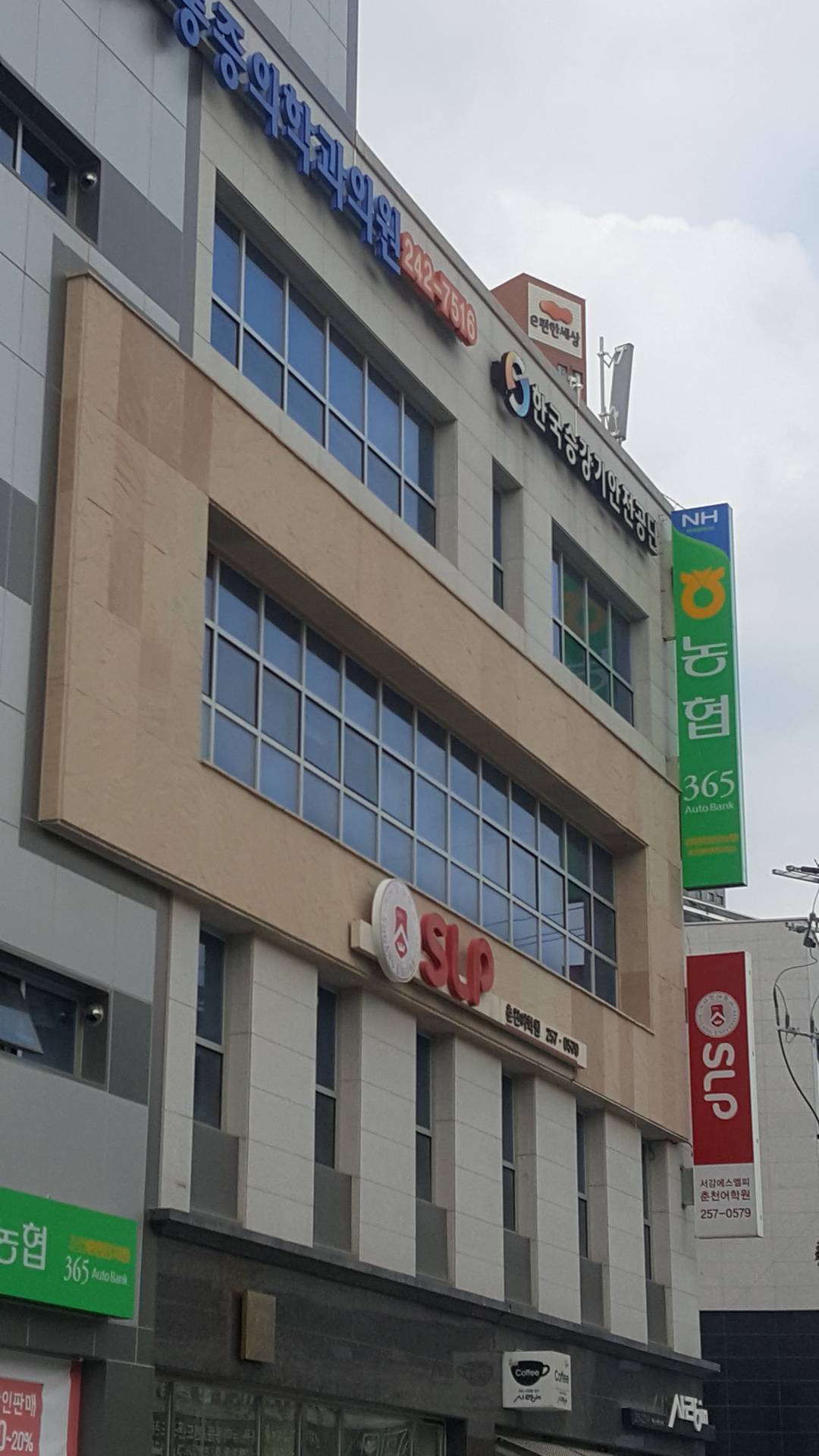 서강SLP춘천어학원