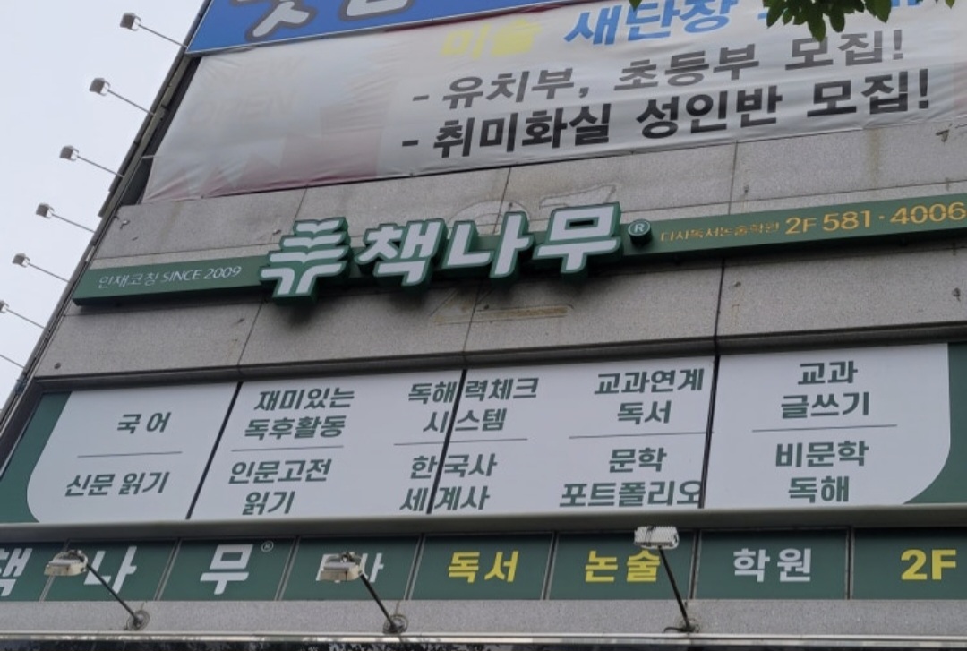 책나무 다사점