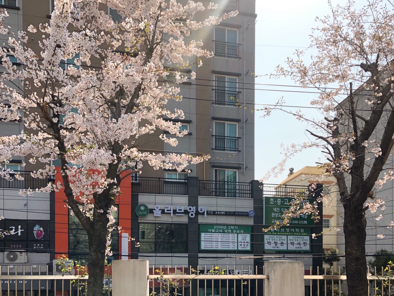 올리브영어학원
