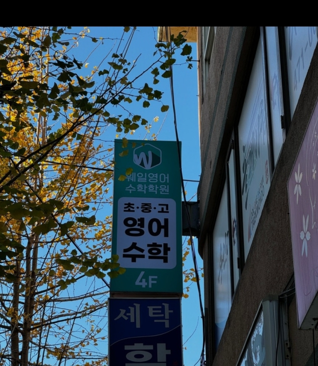 웨일영어수학학원