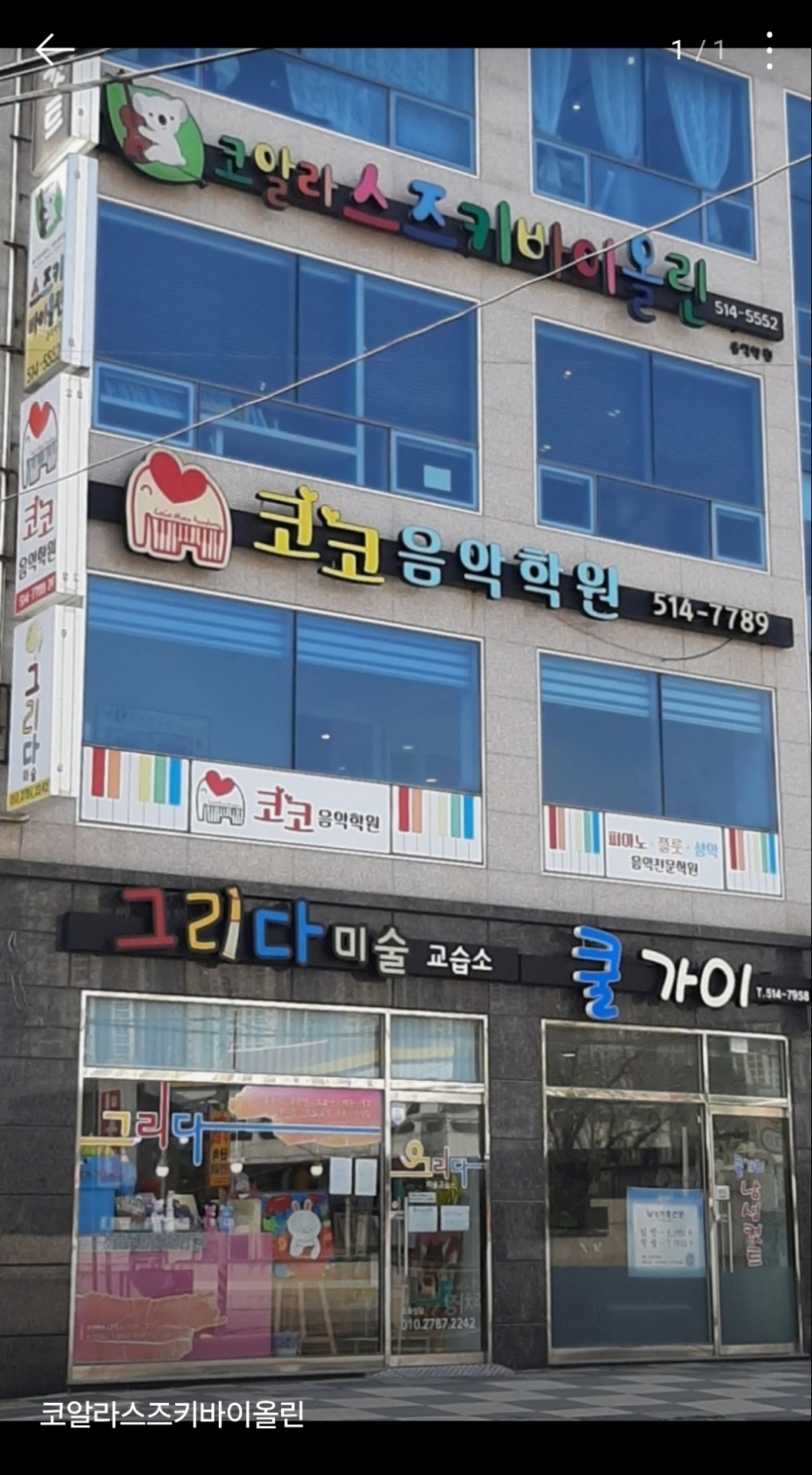 코알라스즈키바이올린음악학원