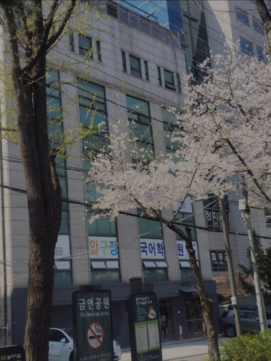 압구정국어논술전문학원