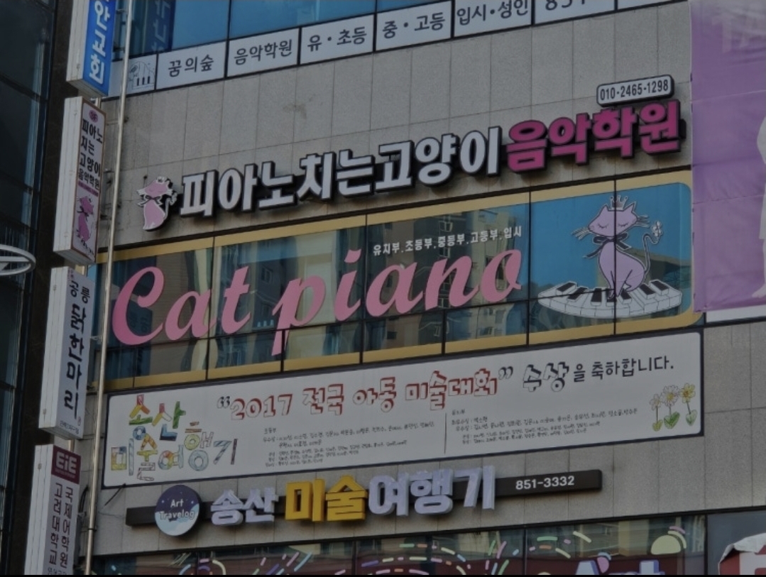 피아노치는고양이음악학원