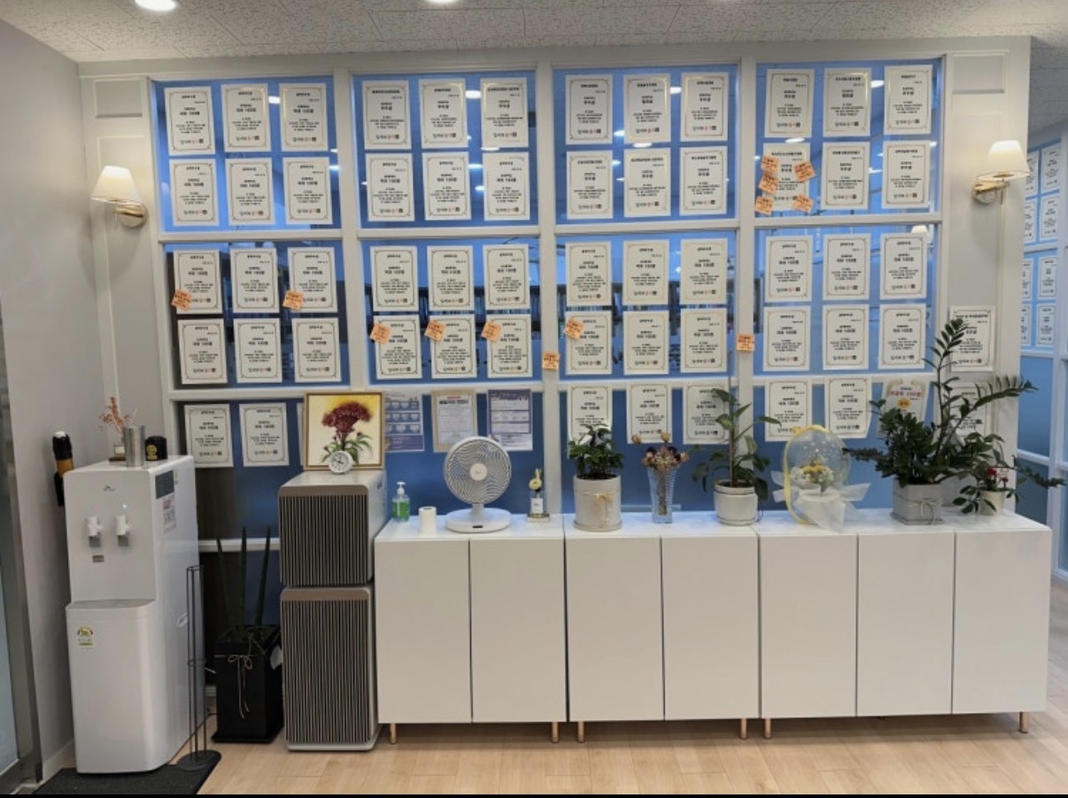 잎새와줄기논술국어학원