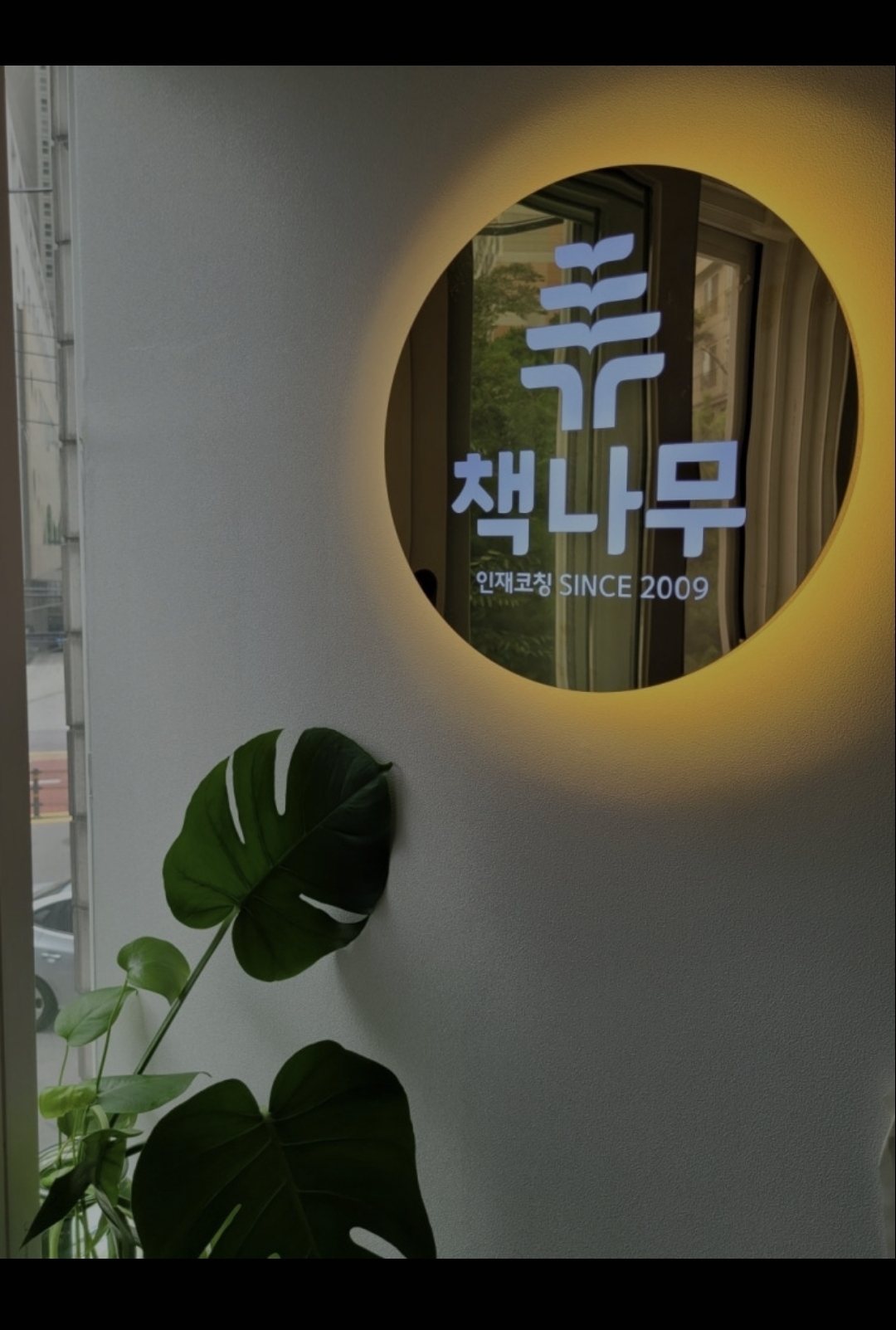 책나무 남가좌점