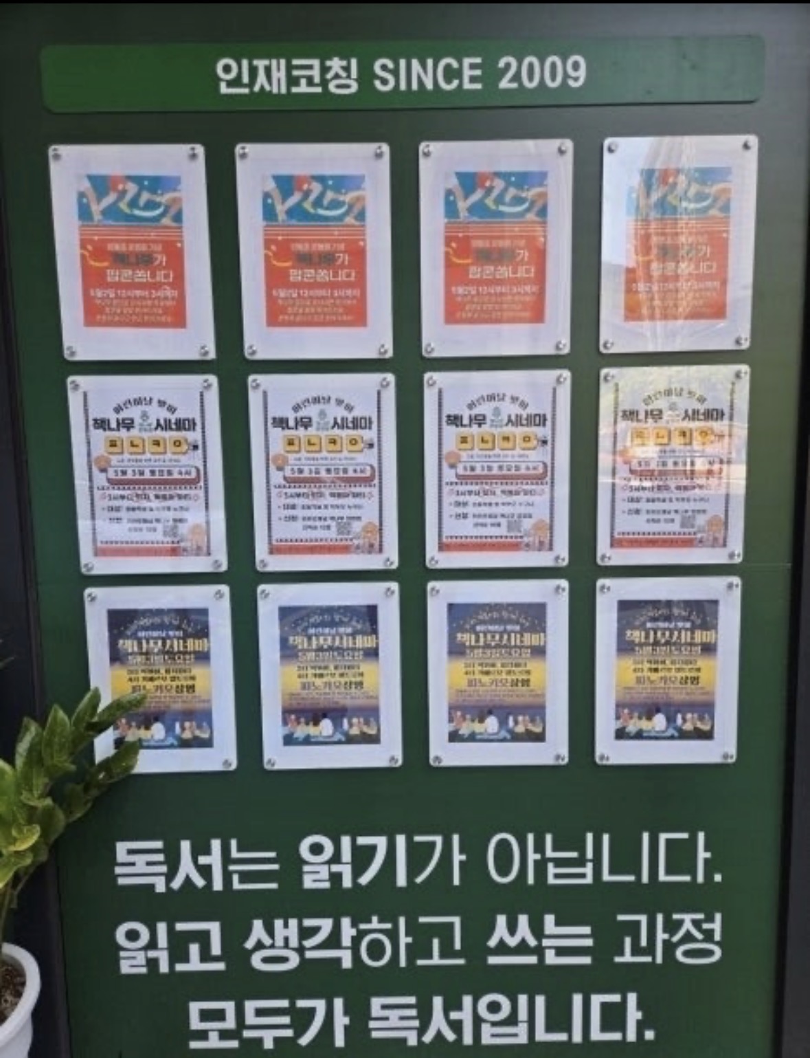 책나무 양정점
