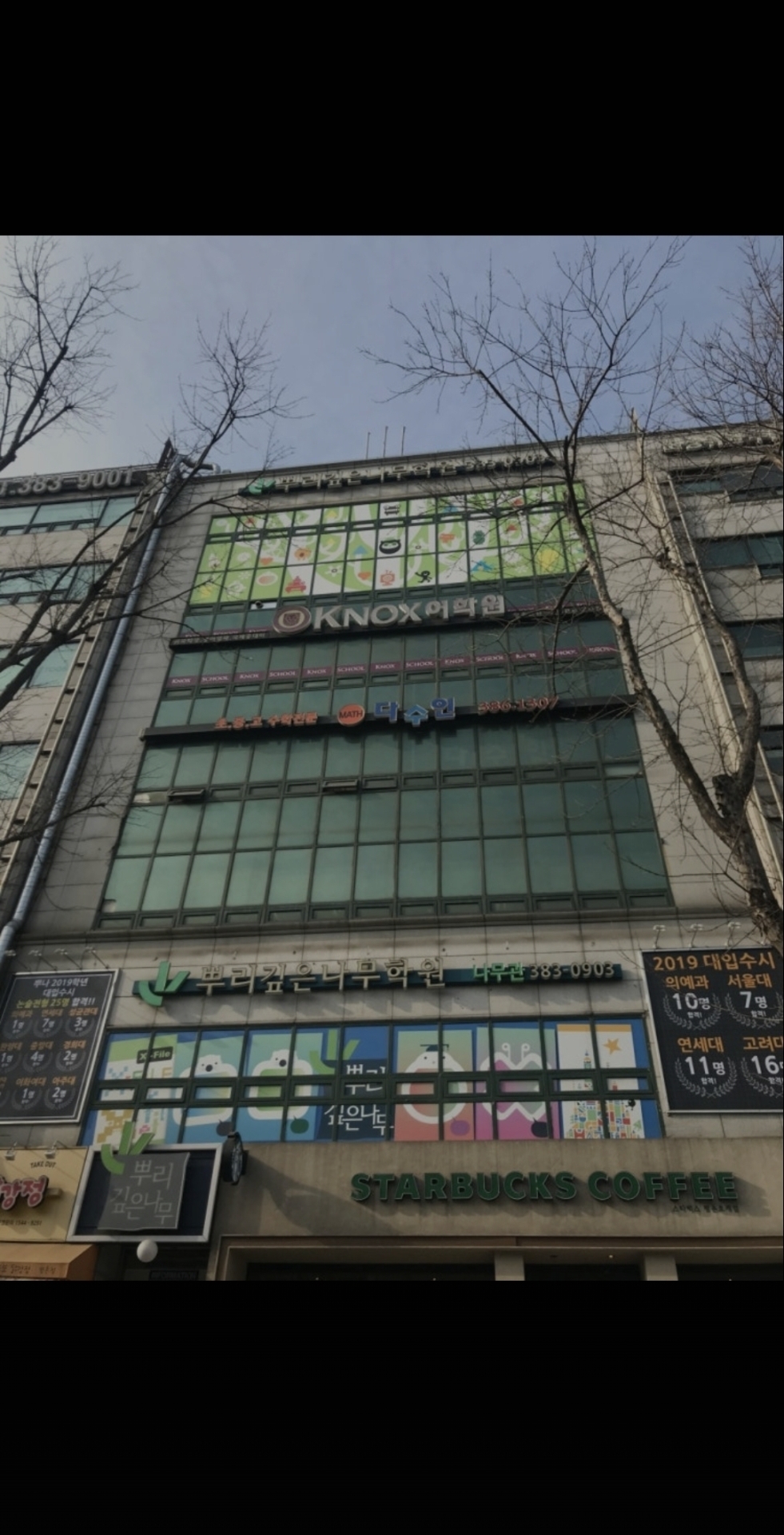 뿌리깊은나무학원나무관