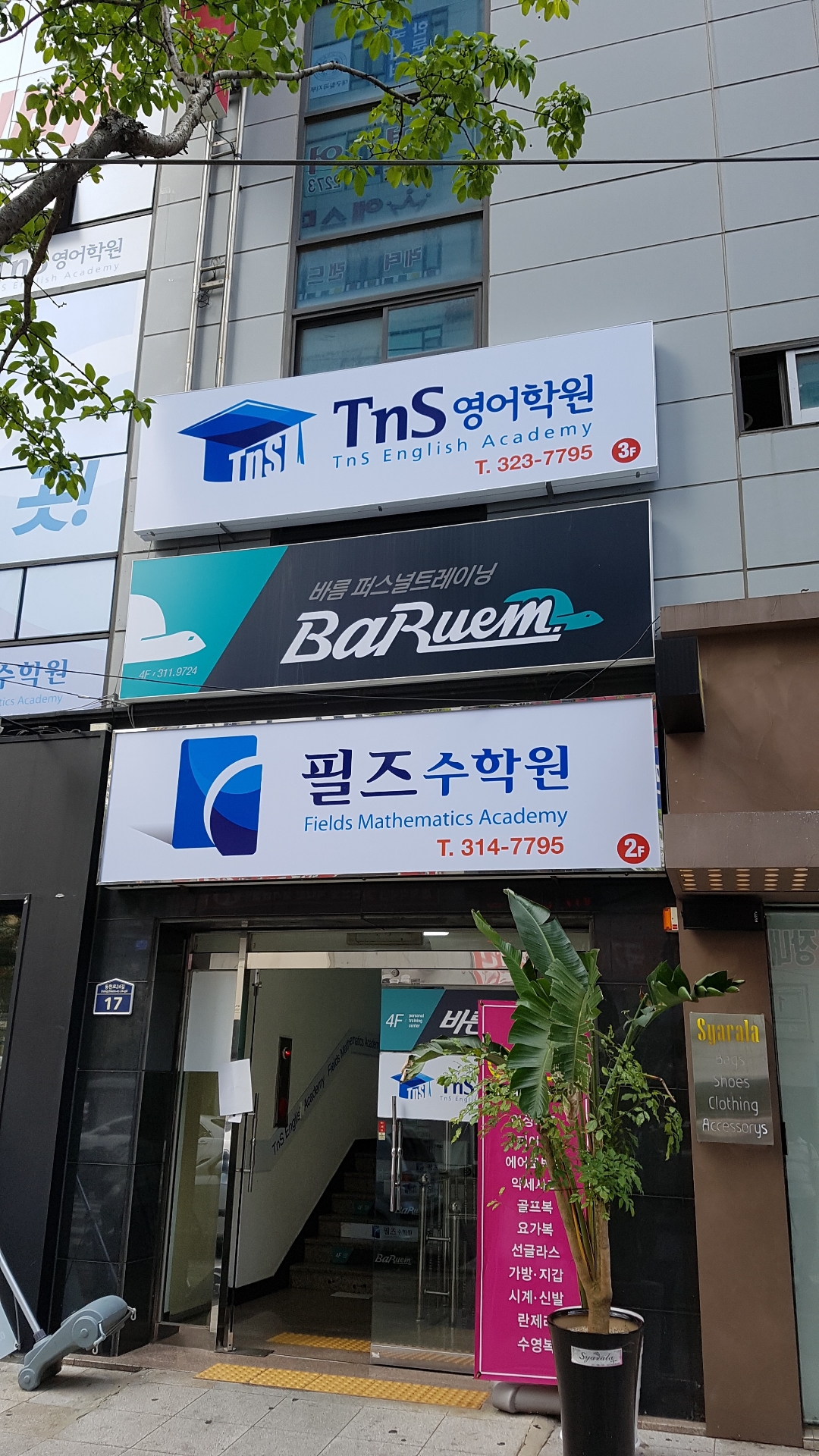 Tns영어학원