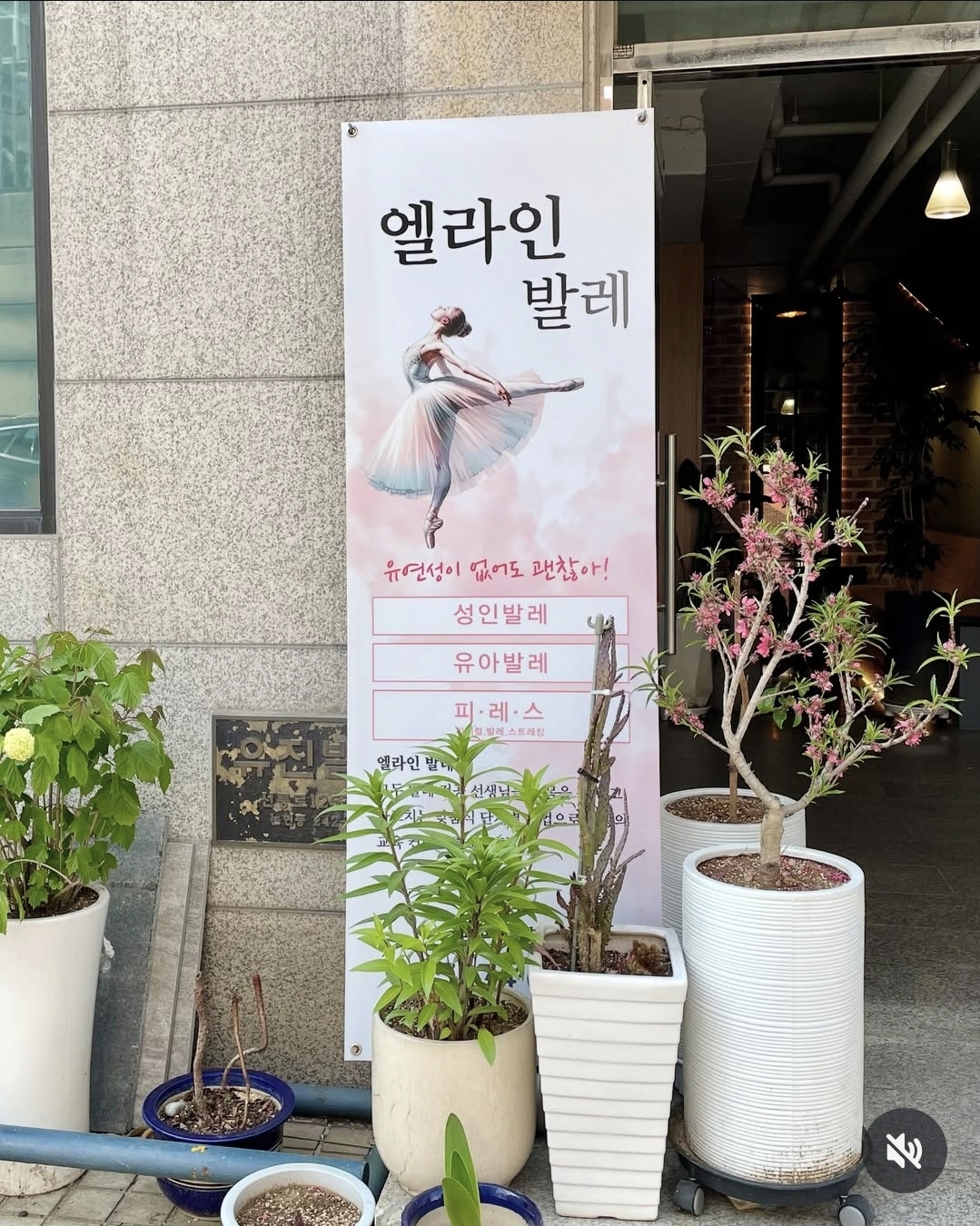 엘라인발레학원
