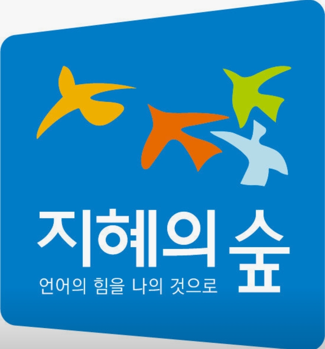 지혜의숲 논술 / 나의빛 국어