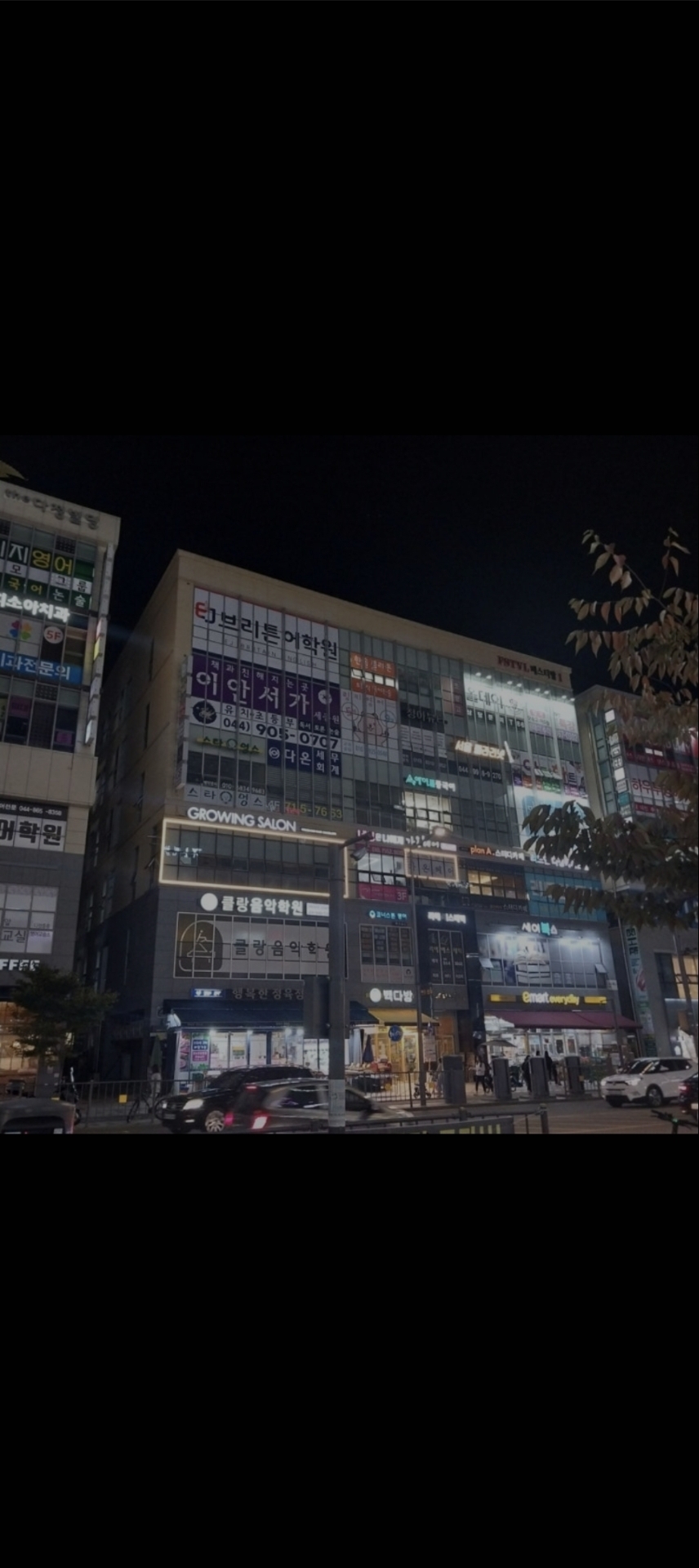 이안서가 세종원