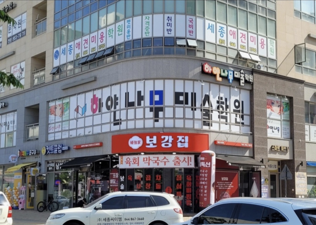 하얀나무입시미술학원