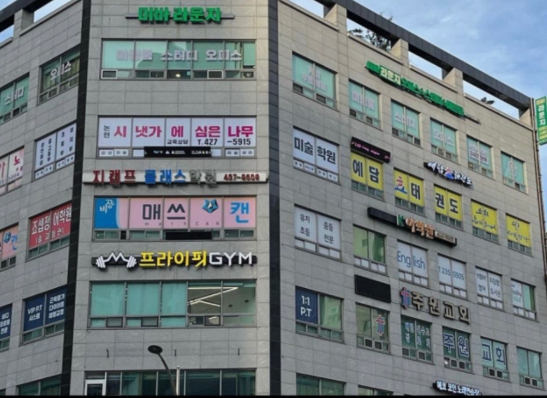 논현시냇가에심은나무미술학원