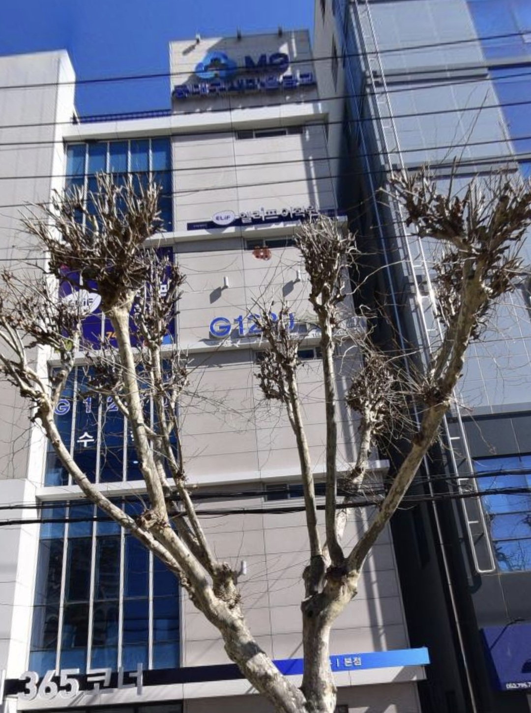 엘리프어학원 신천캠퍼스