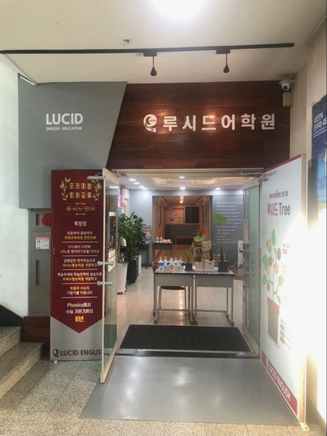 루시드어학원