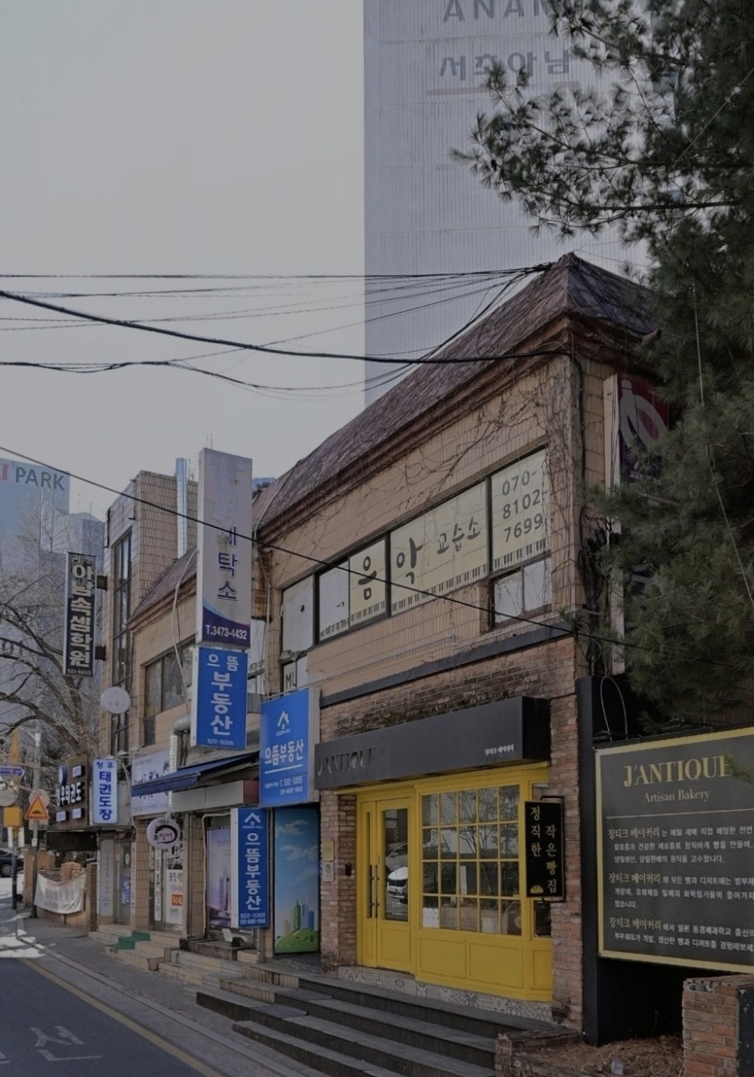 잎새음악학원
