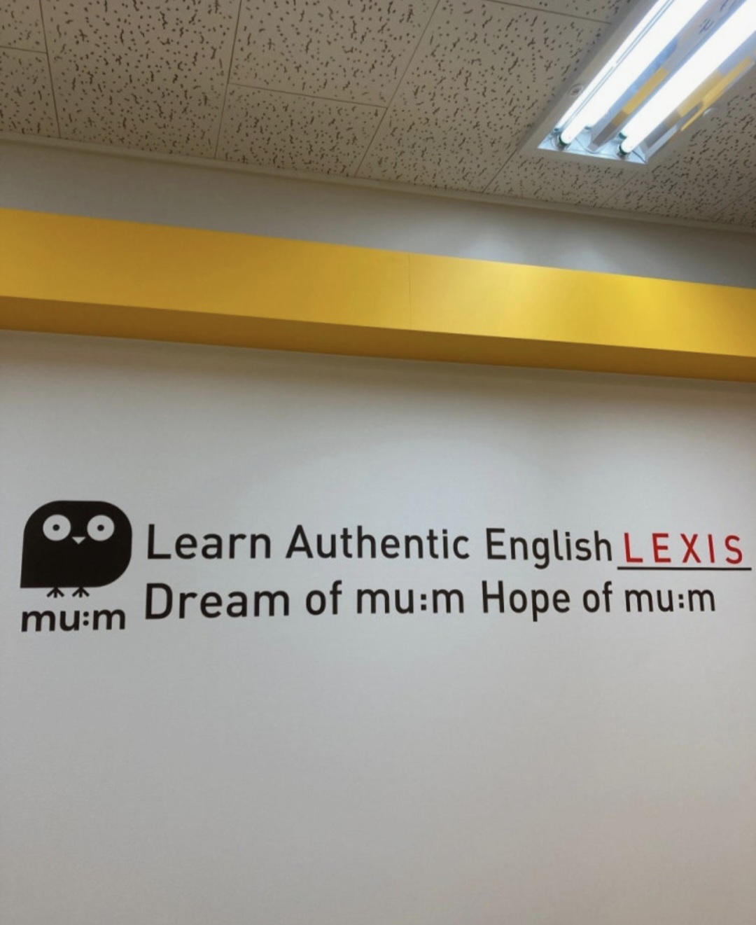 뮤엠영어 뮤엠폴리오 대평점