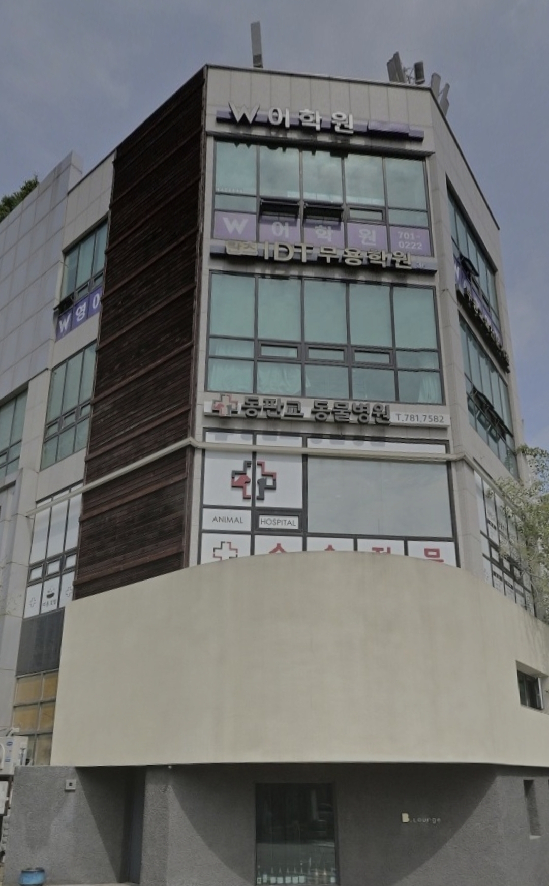 W어학원 판교