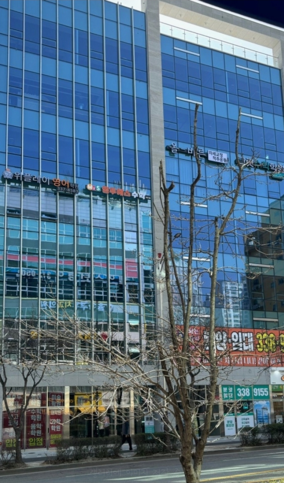 위플레이영어학원