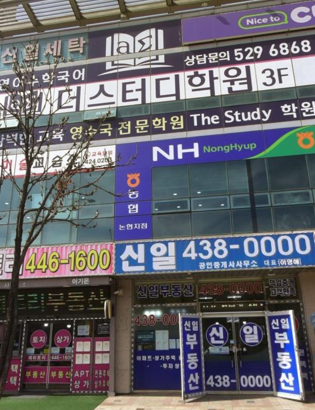 더스터디학원