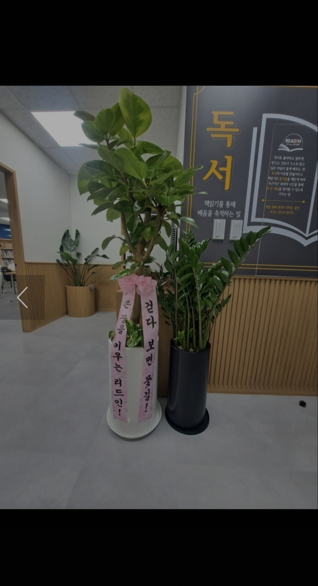 리드인국어독서논술 금암점
