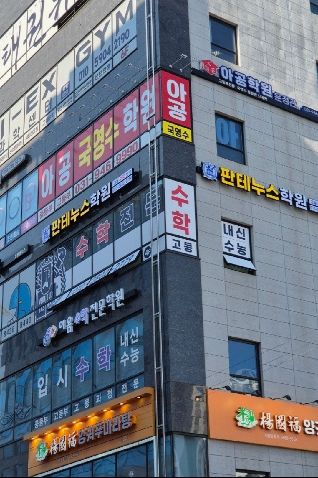 판테누스학원