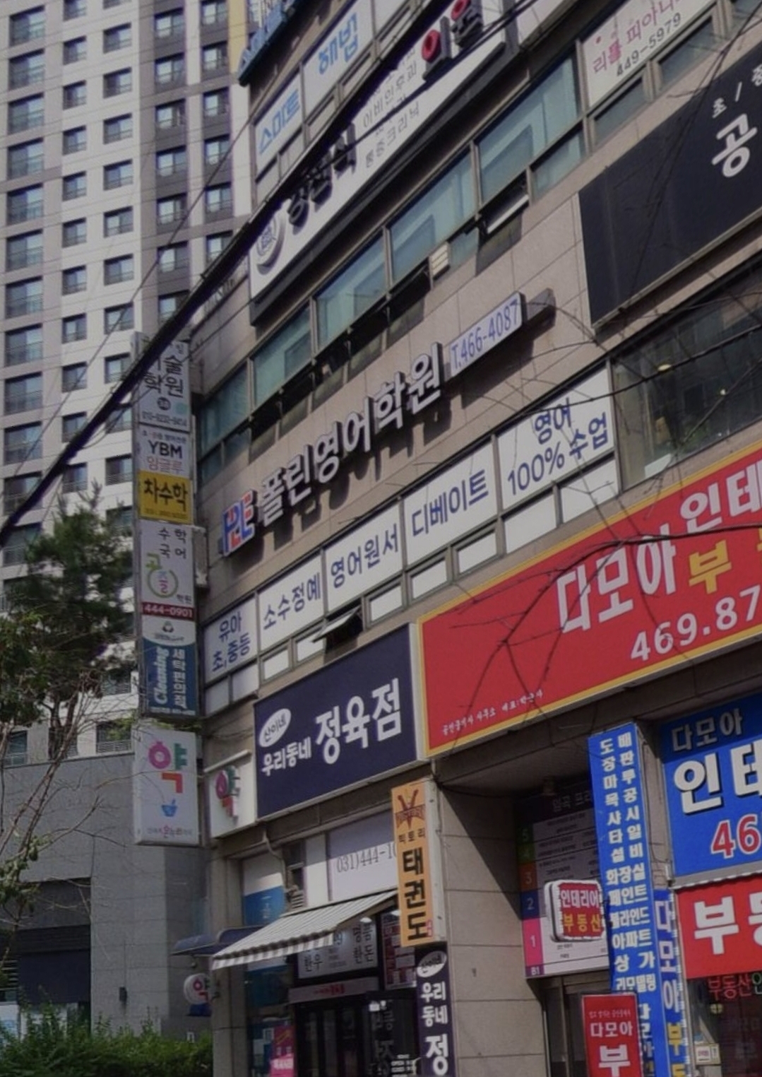 폴린영어